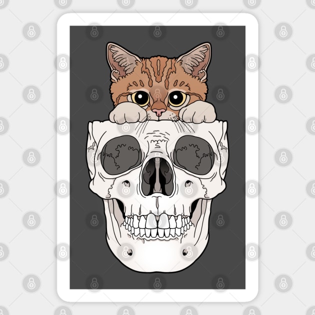 Orange Kitty & Skull Magnet by tiina menzel